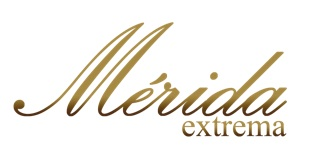 MARTİN 11LX1RE LİTTLE MARTİN ACOUSTİC GUİTAR