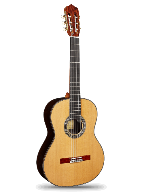 ALHAMBRA PREMIER PRO MADACASCAR+ HARD CASE