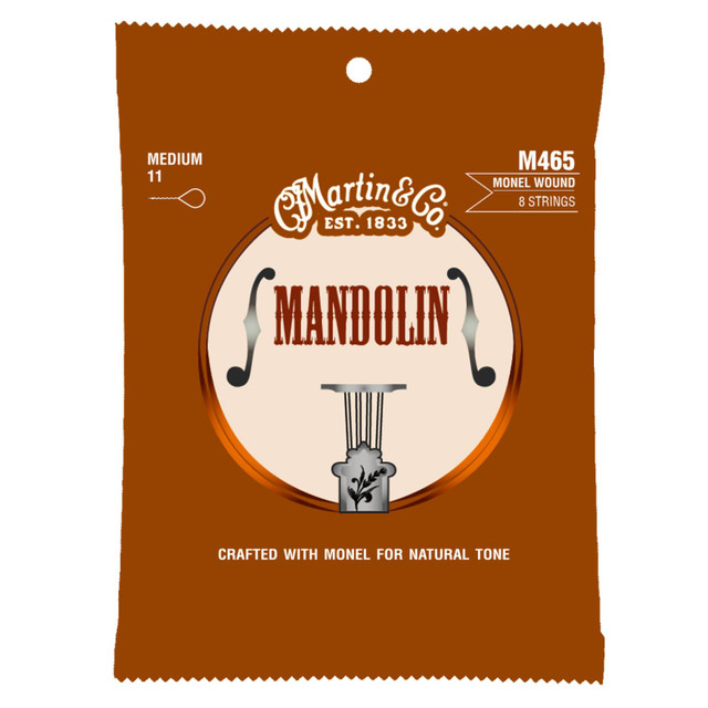 MARTİN D210 DARCO ACOUSTIC STRİNGS