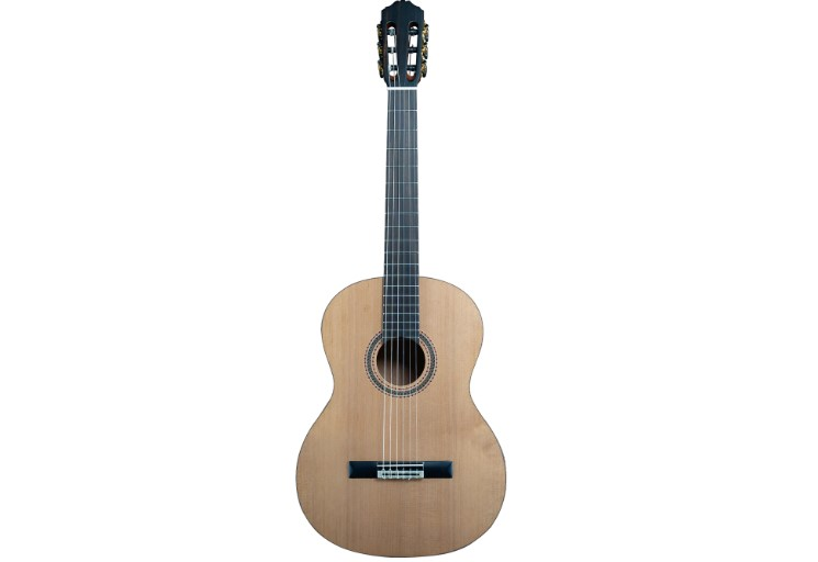 MERİDA CARDENAS C-5D AKUSTİK GİTAR