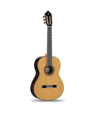 ALHAMBRA 5P CTE1 ELEKTRO CUTAWAY KLASİK (FİSHMAN)