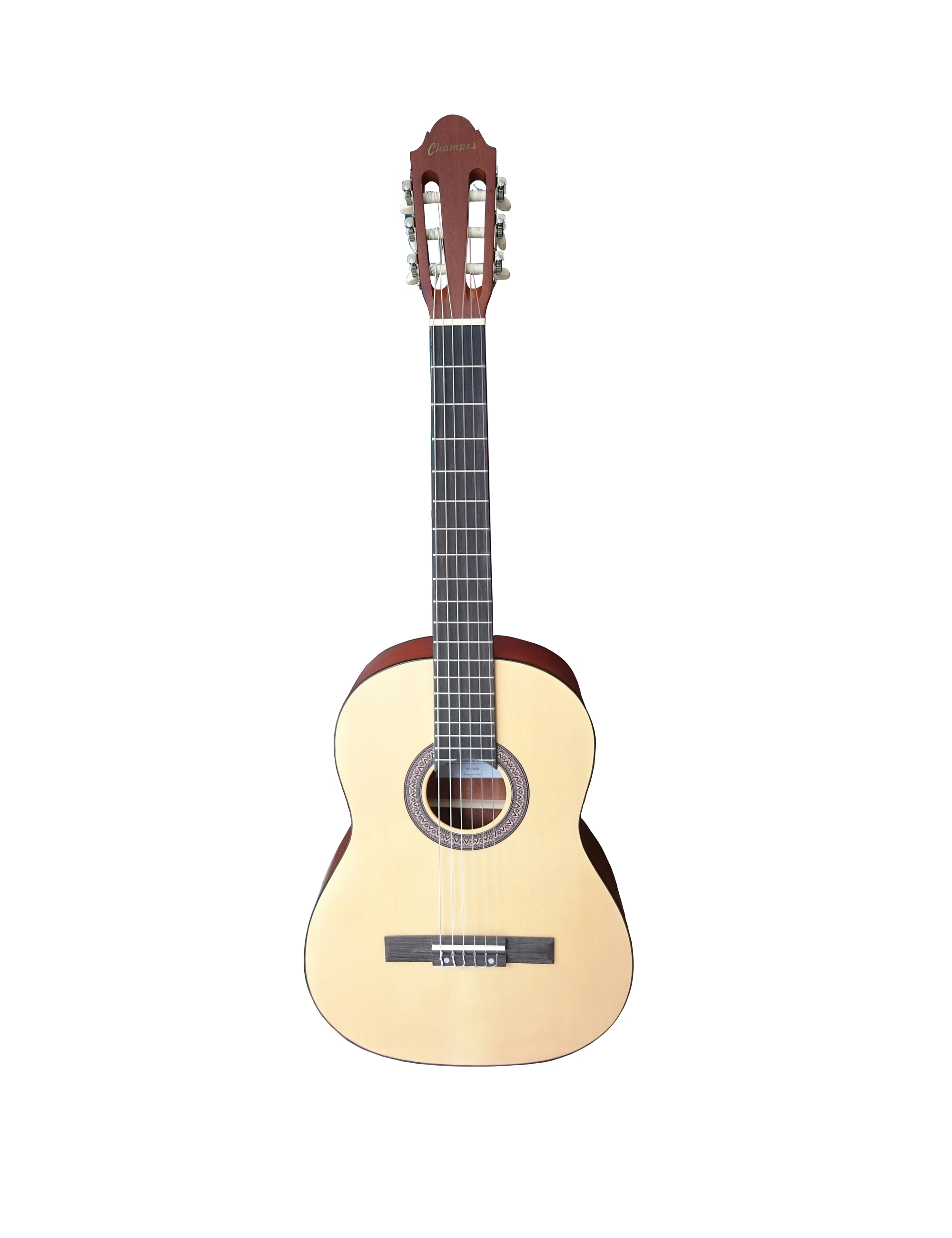 Alston D-85C Elektro Akustik Gitar