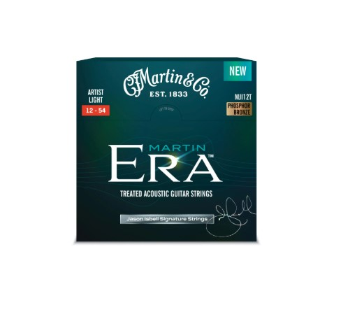 MARTİN MA175T ACOUSTİC STRİNG